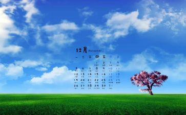12月团工作总结参考7篇