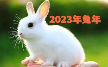 2023进党校心得体会5篇