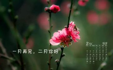 2月2作文600字8篇