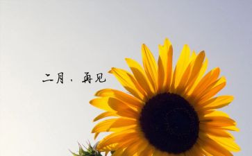 大大班2月份工作计划8篇