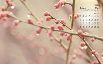 学校4月工作总结参考8篇