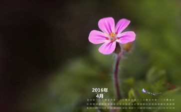 4月心得体会6篇