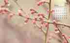 学校4月工作总结参考8篇