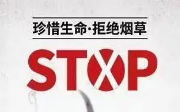 干部培训531心得体会通用6篇