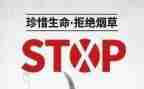 干部培训531心得体会通用6篇