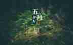 5月份物业工作计划6篇