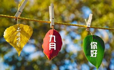 9月份教师工作总结精选8篇