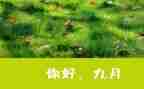 幼儿园9月份工作总结模板5篇