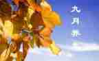 9月份教师工作总结6篇