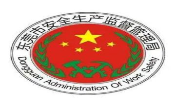 安监局工作总结6篇