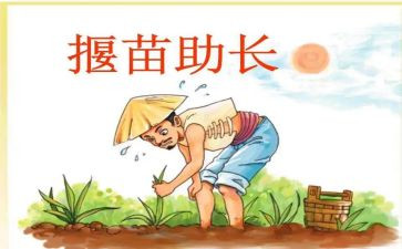 读拔苗助长读后感推荐7篇