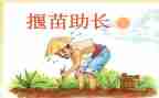 读拔苗助长读后感推荐7篇