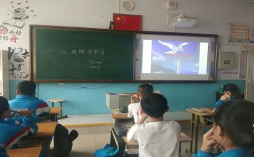 爱读书班会课教案精选8篇