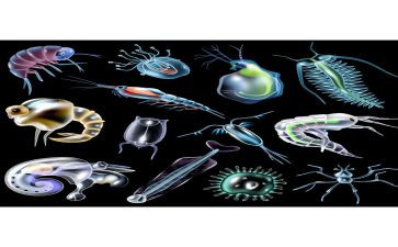 生物学期工作计划优秀5篇