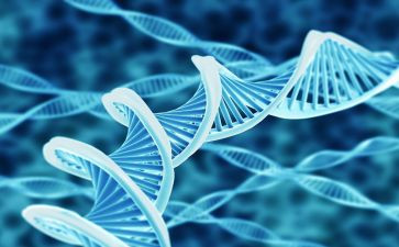 初二生物教师工作总结7篇