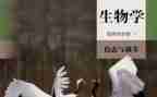 2024年生物工作总结5篇