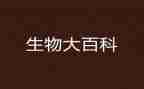 生物教师工作年终总结5篇