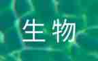 上学期生物工作总结参考8篇