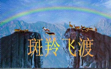《斑羚飞渡》读后感600字6篇