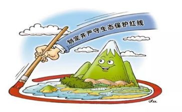 环境保护心得体会600字6篇