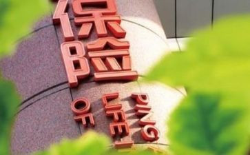 保险公司半年总结6篇