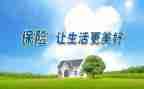 保险的心得体会模板6篇