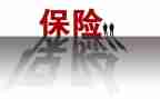 保险业务员年终总结范文优质8篇