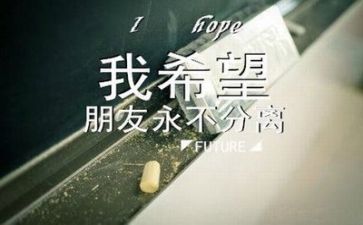 毕业会计专业心得体会6篇