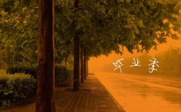 毕业班的工作总结参考6篇