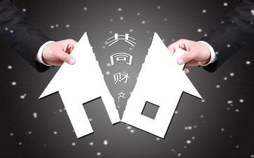 申请查财产申请书参考6篇