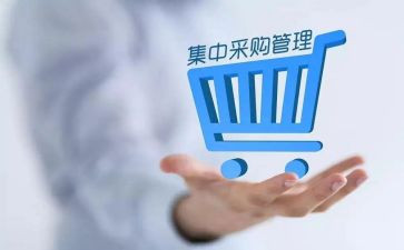 采购2023工作计划优质6篇