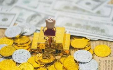 财务会计的调查报告7篇