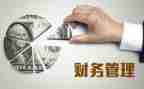 将财务工作计划优质7篇