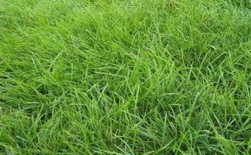 草房子里的读后感模板6篇