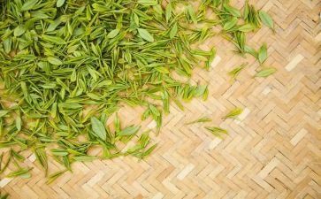 茶的故事读后感精选7篇
