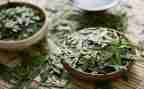 茶讲话稿推荐7篇