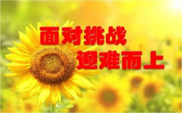 多尝试的作文优质7篇