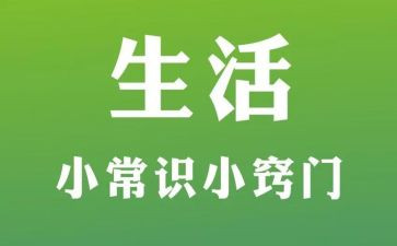 常识类作文7篇