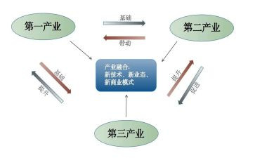产业报告调查报告5篇
