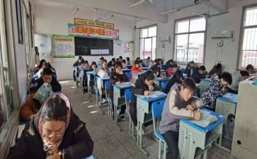 初级专业技术工作报告7篇