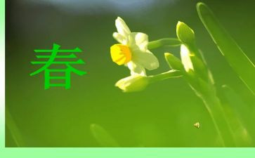 青春的大学生演讲稿推荐7篇