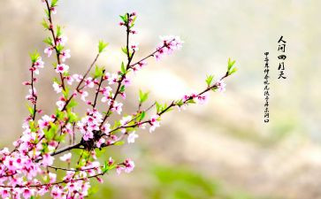 春节主题幼儿园教案7篇