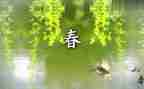 春节作文1000字6篇