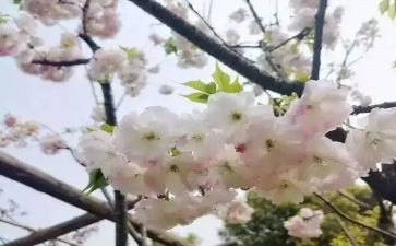 青春期健康心得体会7篇