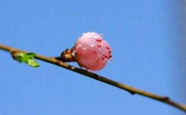 青春期的心得体会5篇