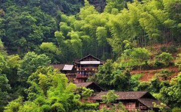 去农村的演讲稿8篇