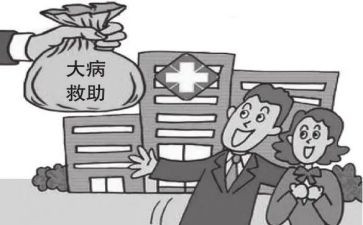 办大病申请书8篇