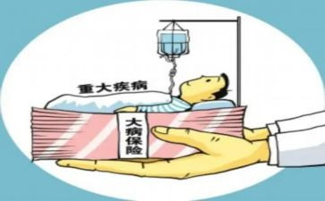 办大病申请书模板8篇