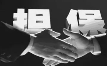 个人担保公司工作总结通用5篇