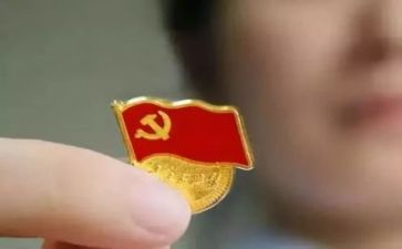 对党心得体会800字8篇